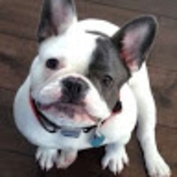 Meet your Posher, Isabelle - Picture 1 of 1